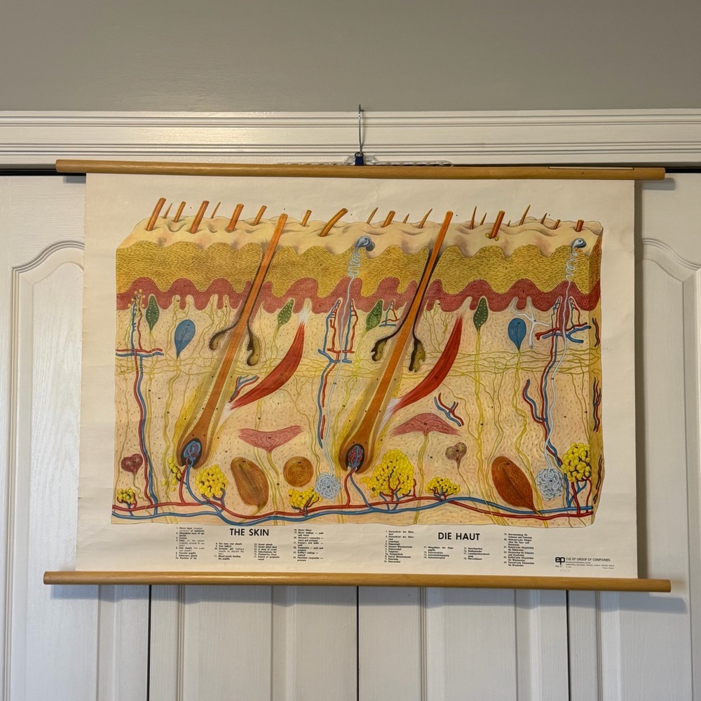 Medical Poster